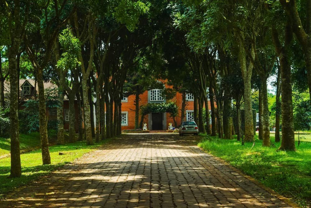 Garage door services in Gilford